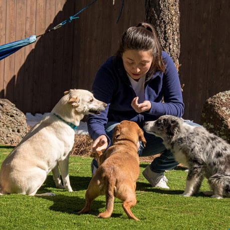 Pet-friendly Artificial Grass Installation - SYNLawn Houston