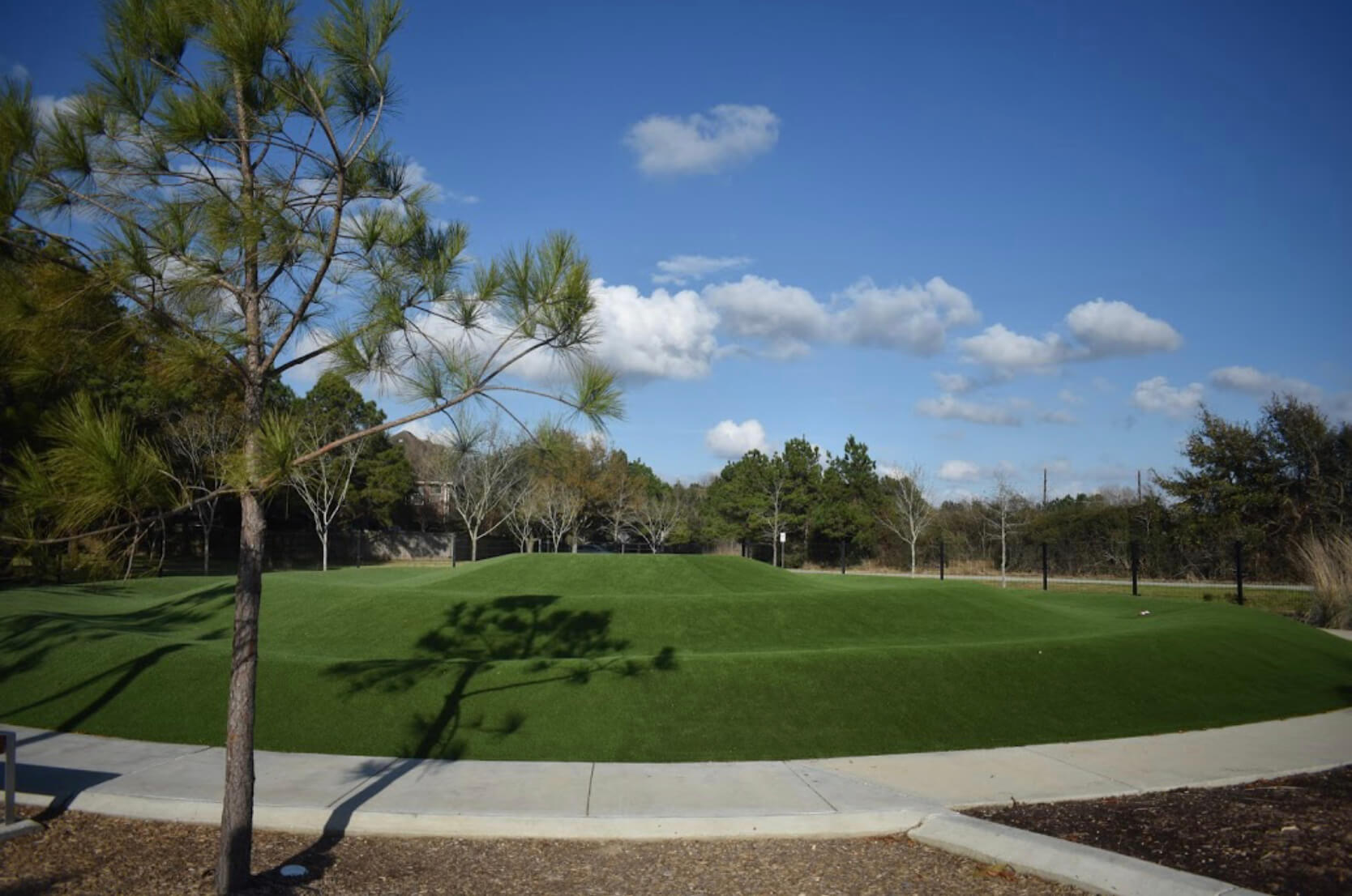 park with artificial turf