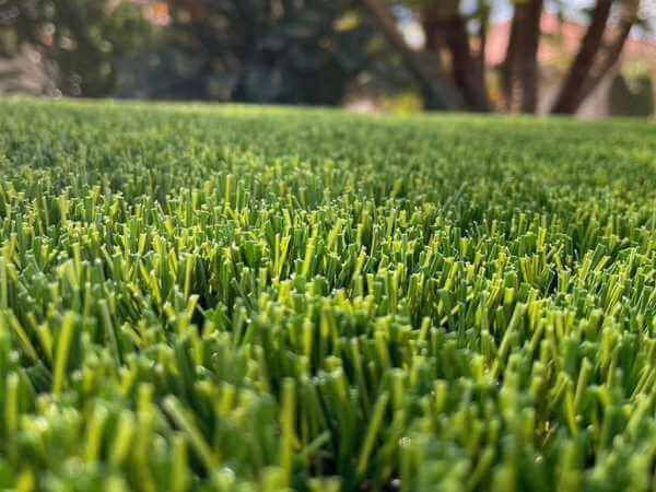 close up of residential artificial grass