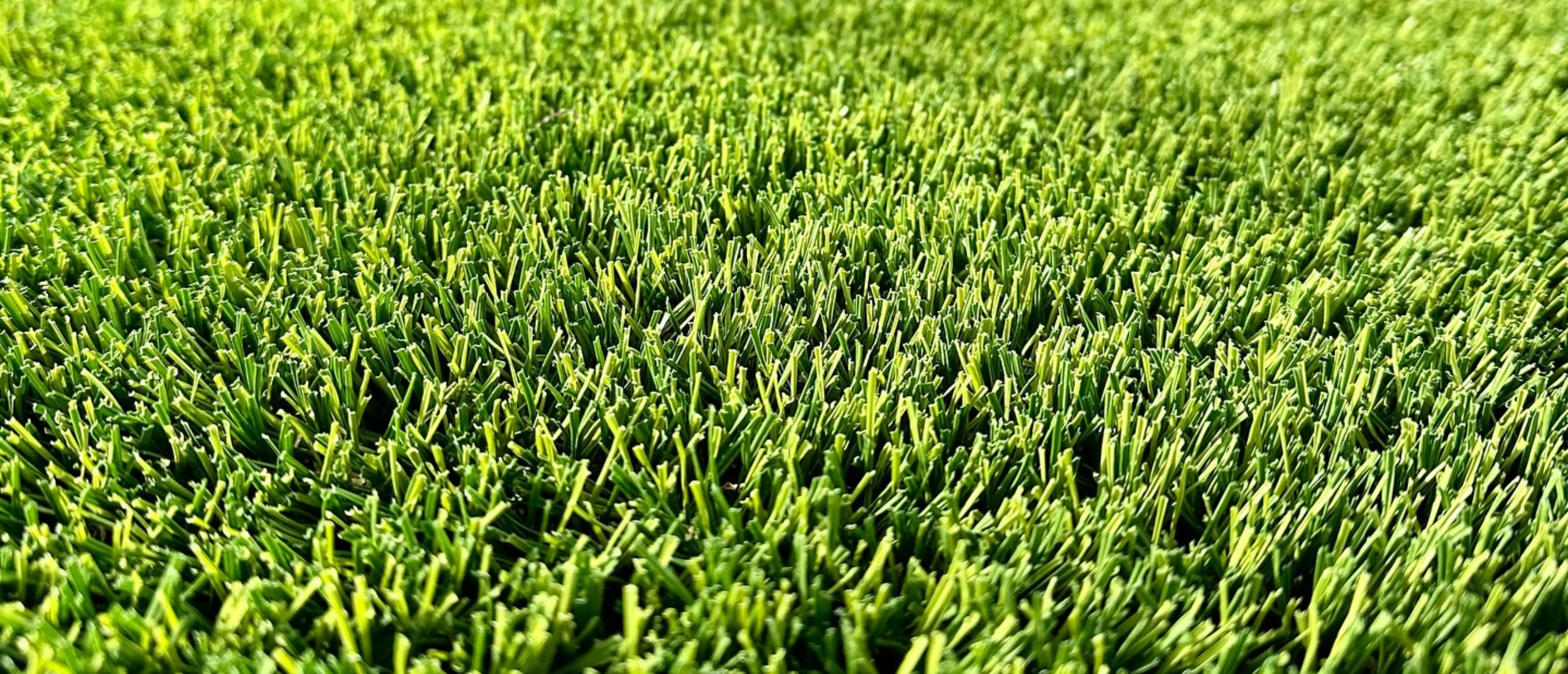 houston artificial turf synlawn